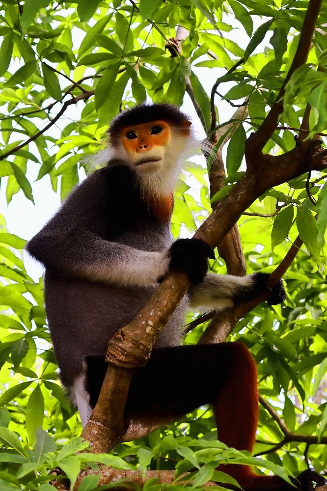 Фотография автора Quan Hung