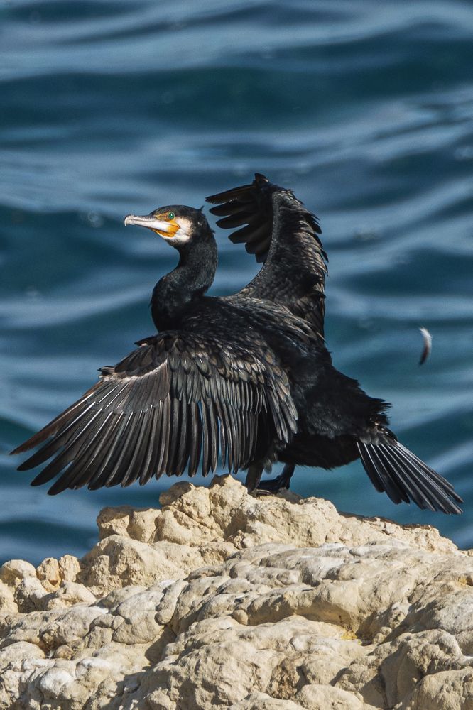 Photograph by Юлия Григоренко