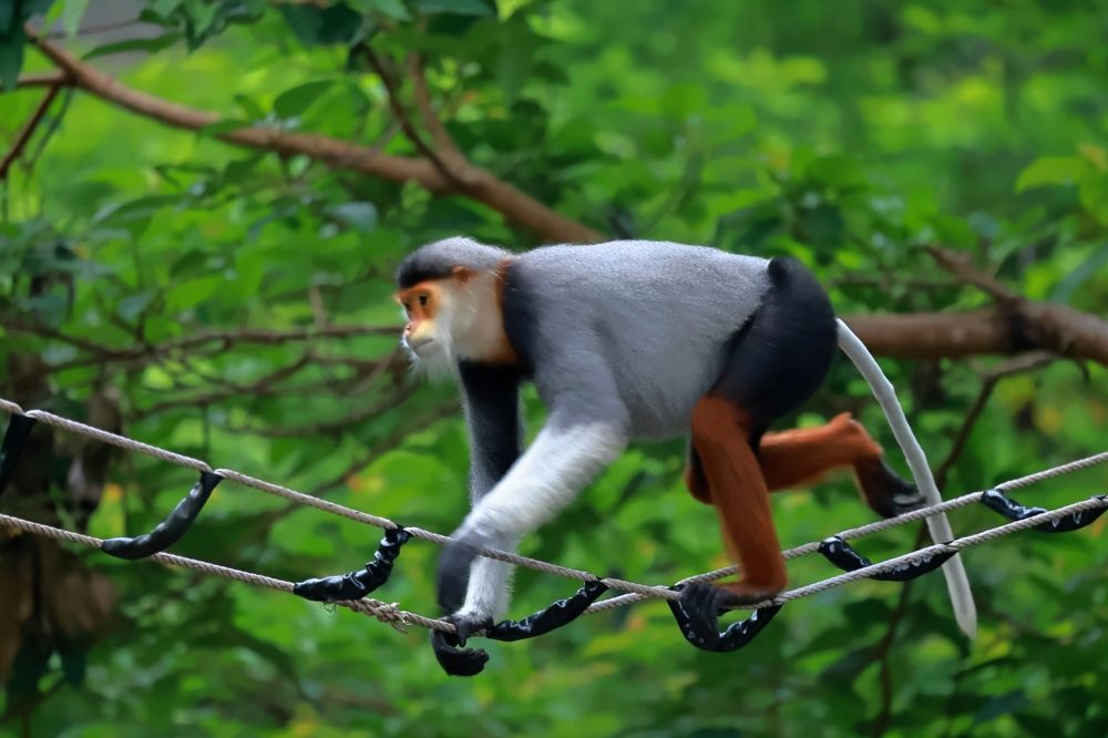 Фотография автора Quan Hung