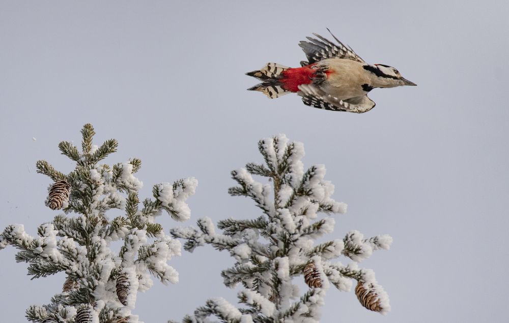 Photograph by Gurdina Lena