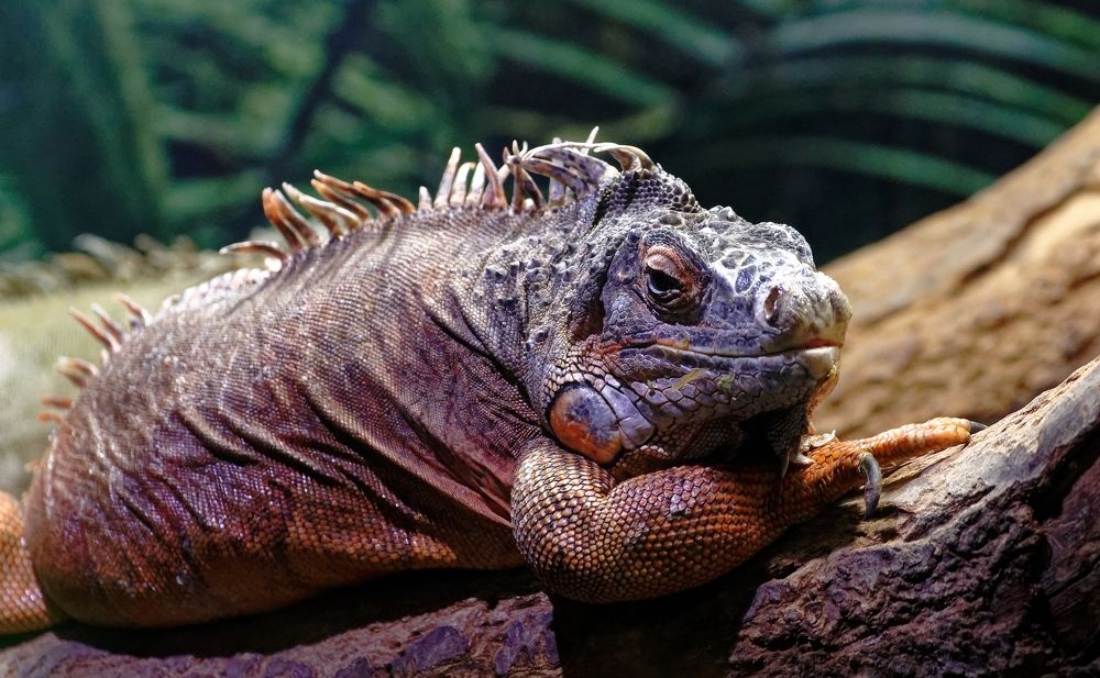 Photograph by Вадим