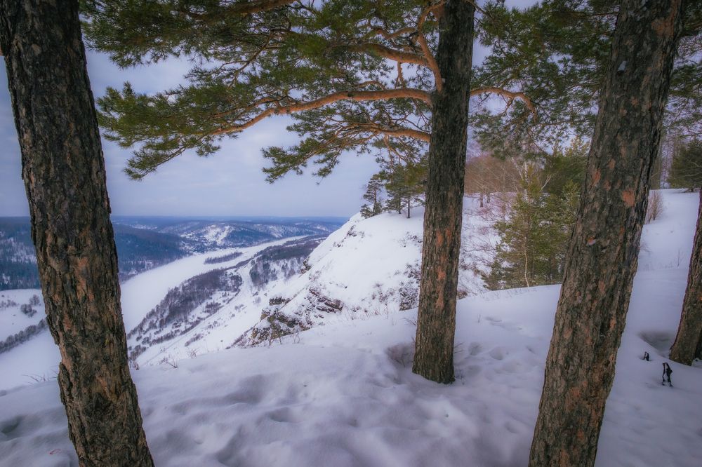 Photograph by Александр Жариков