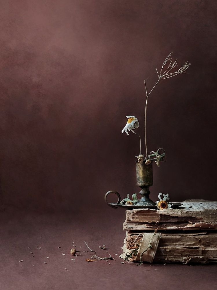 Photograph by Natalia Sopoćko