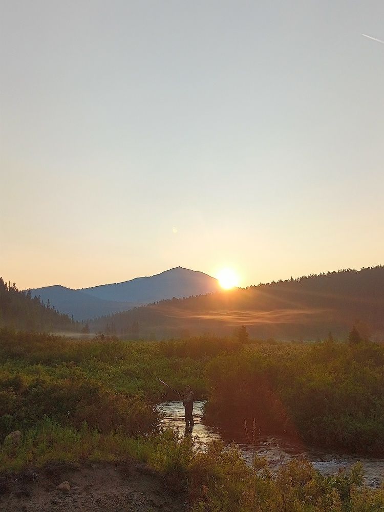 Photo #11719027