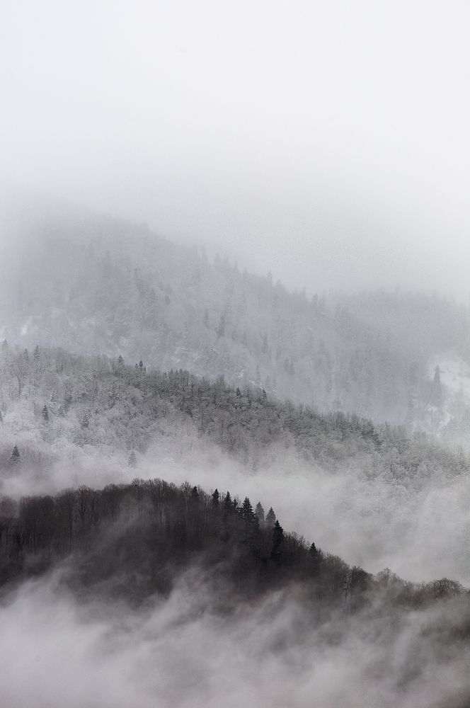 Фотография автора Petrova Anastasia