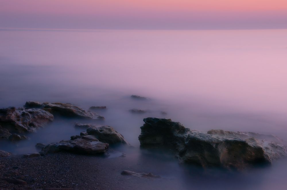 Фотография автора Petrova Anastasia