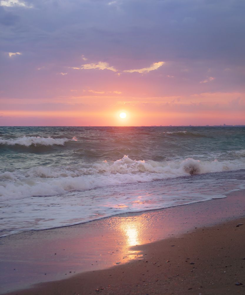 Фотография автора Petrova Anastasia