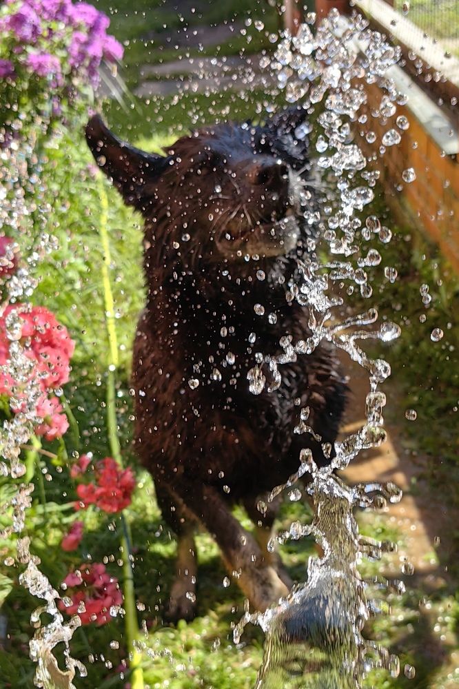 Photograph by Елена Алексеева