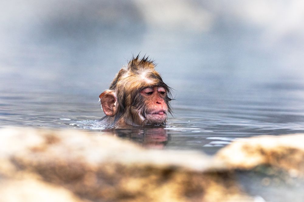 Photograph by Vita Potomova