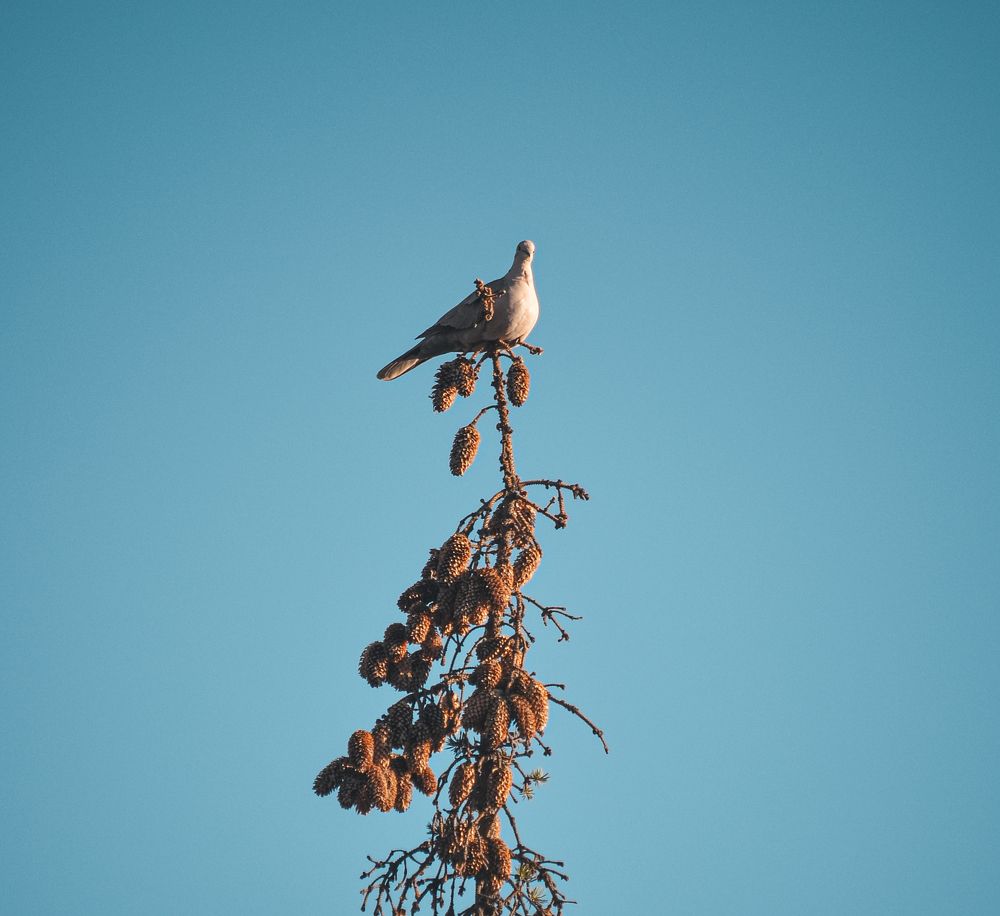 Photograph by Катерина Сорокина