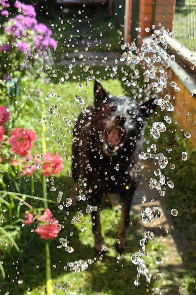 Photograph by Елена Алексеева