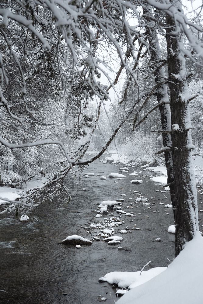 Фотография автора Petrova Anastasia