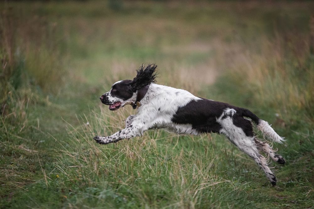 Photograph by Динара Зуйкова