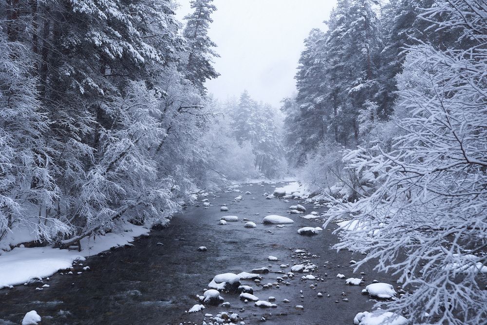 Фотография автора Petrova Anastasia