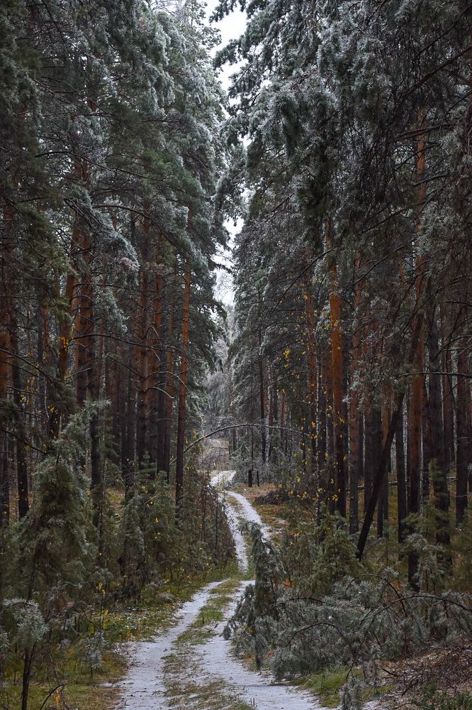 Фотография автора Эльвира Чернова