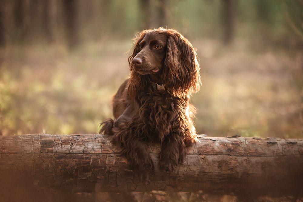 Photograph by Динара Зуйкова