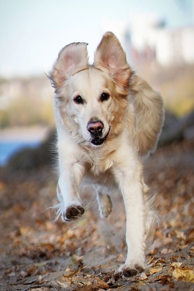 Photograph by Владимир Салапонов