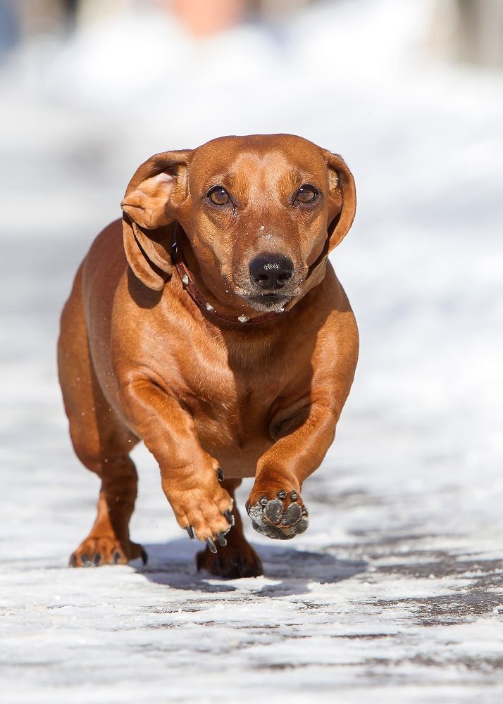 Photograph by Владимир Салапонов