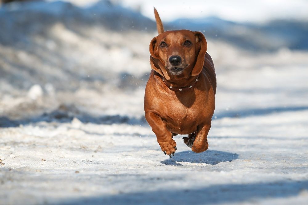 Photograph by Владимир Салапонов