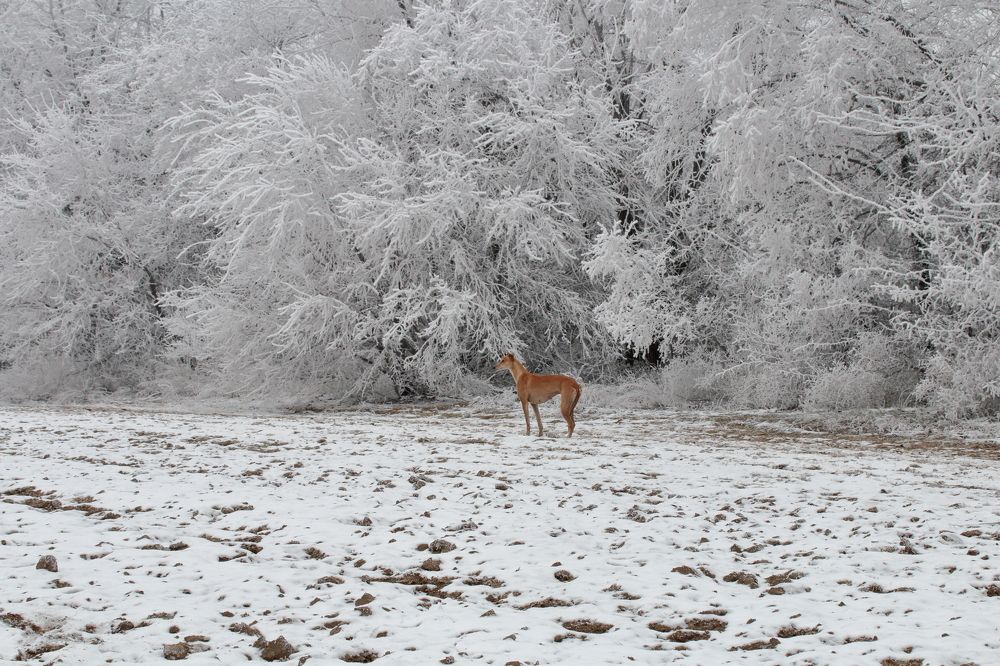 Photograph by Лебедев Юрий-Александрович