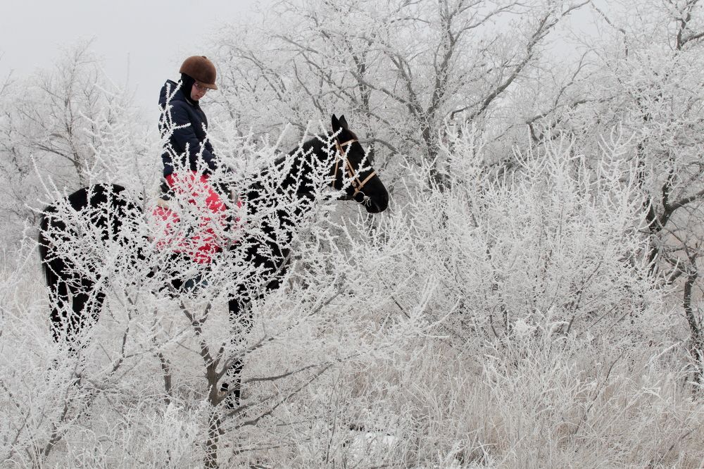 Photograph by Лебедев Юрий-Александрович