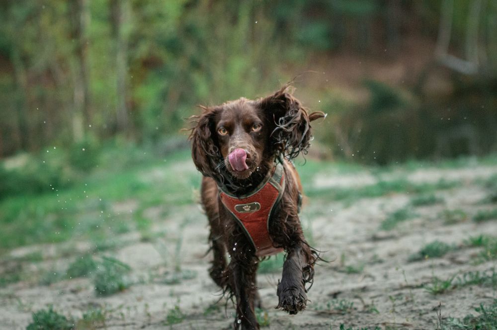 Photograph by Динара Зуйкова