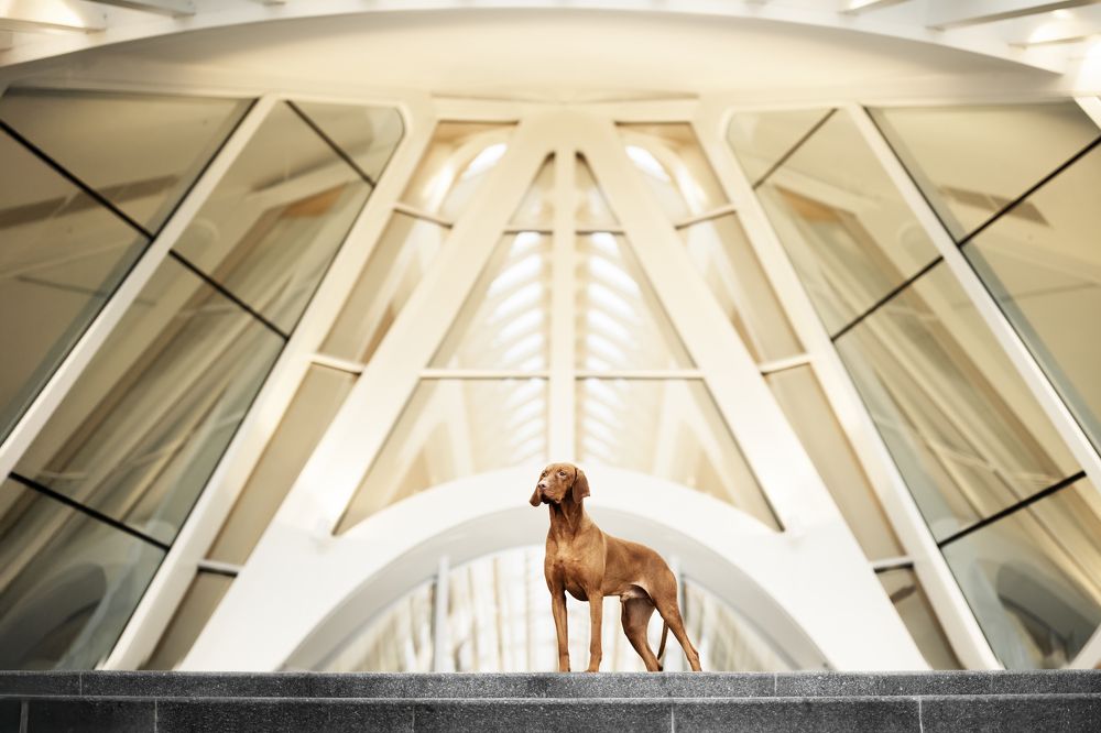 Photograph by Elke Braet