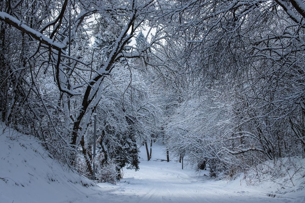 Photograph by Татьяна Гладкова