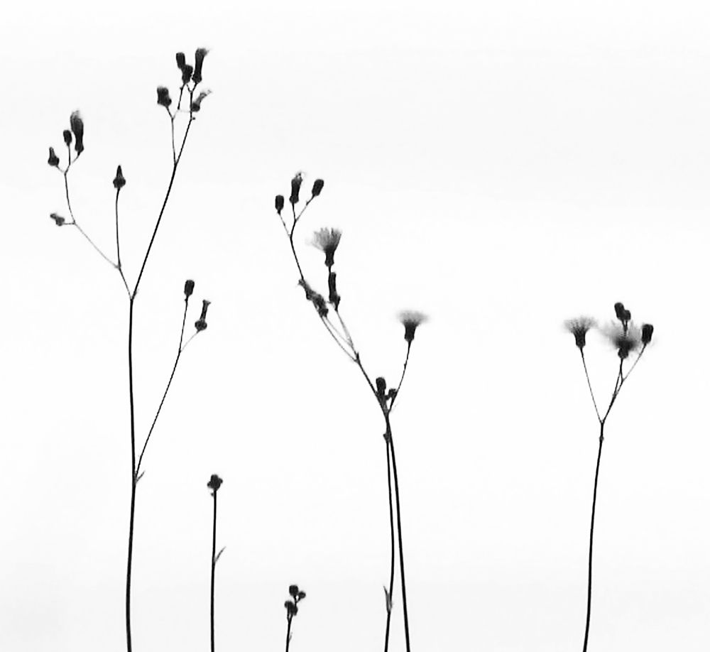 Photograph by Анна Ландграфская