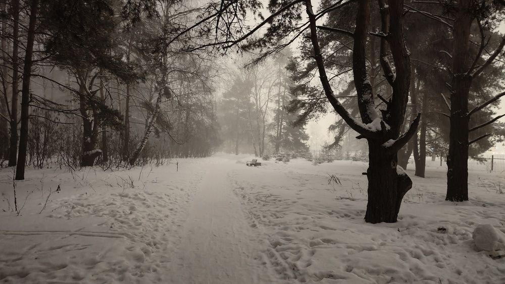 Photo #11719268