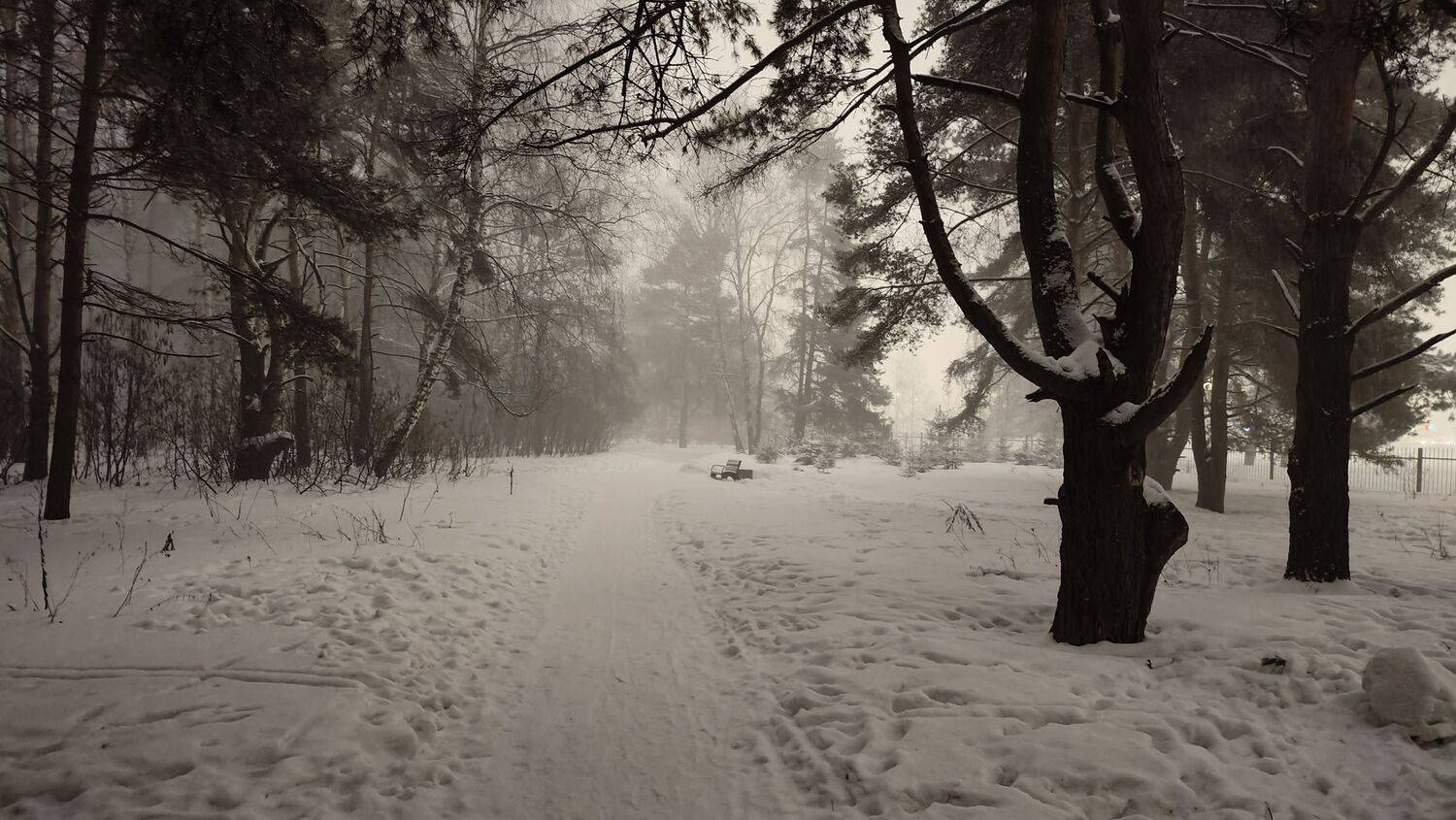 Photo #11719268