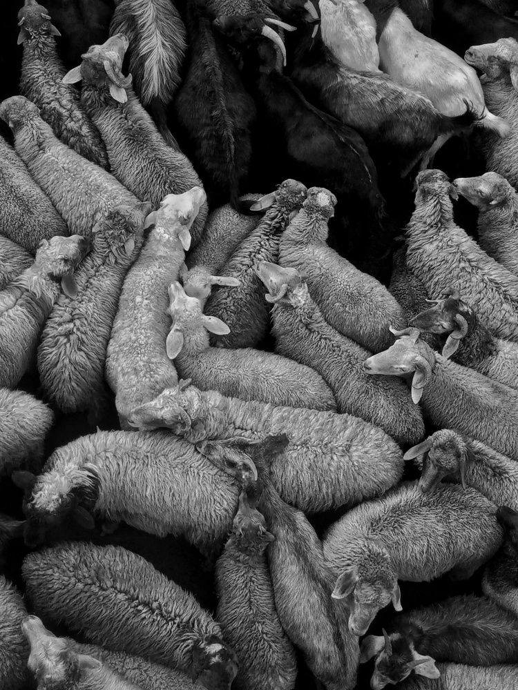 Photograph by Hassaan Ahmed Khan