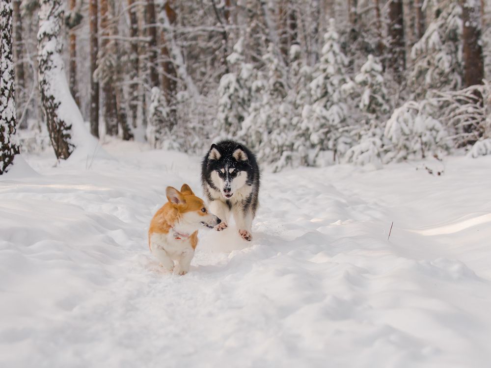 Photograph by Вальтер Кристина
