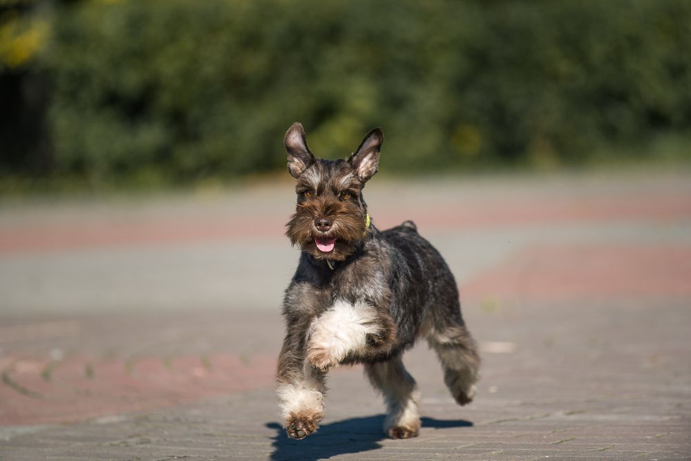 Photograph by Вальтер Кристина