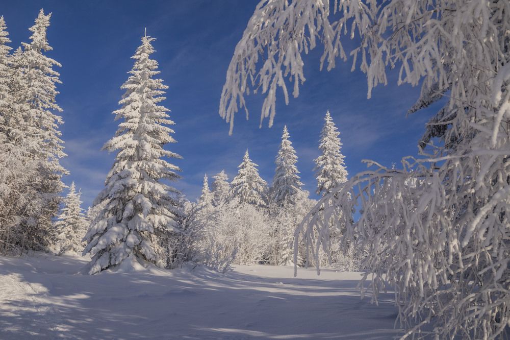 Photograph by Елена Перминова