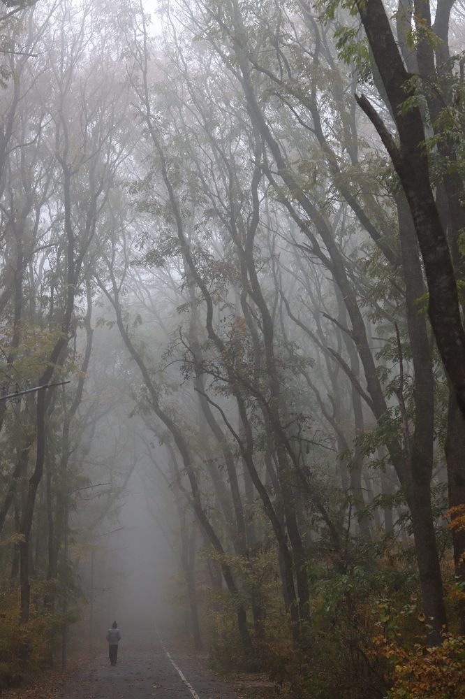 Photograph by Сергей Бумагин