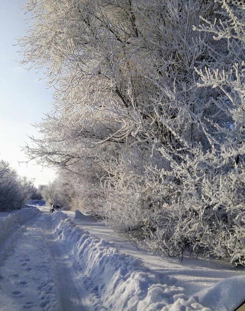 Photograph by Надежда Кононученко