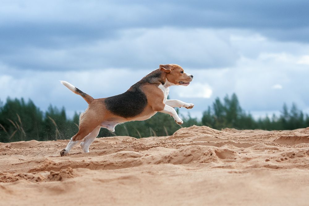 Photograph by Динара Зуйкова