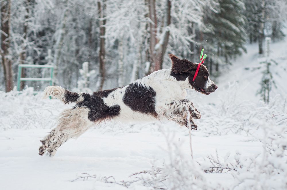 Photograph by Динара Зуйкова