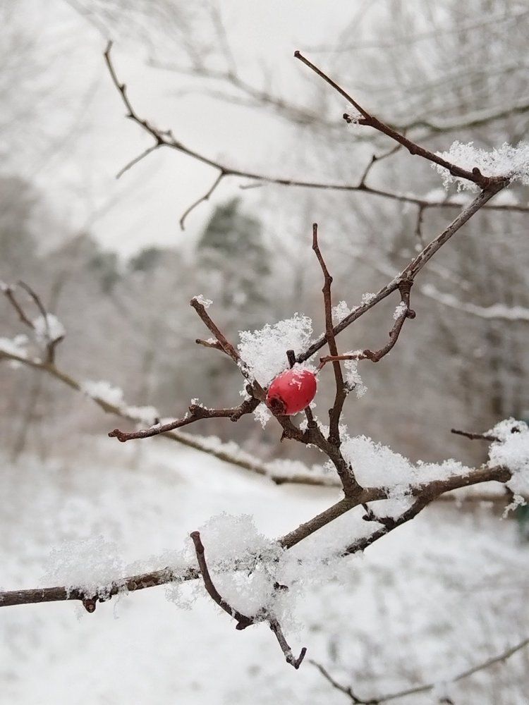 Photograph by Татьяна Солтан