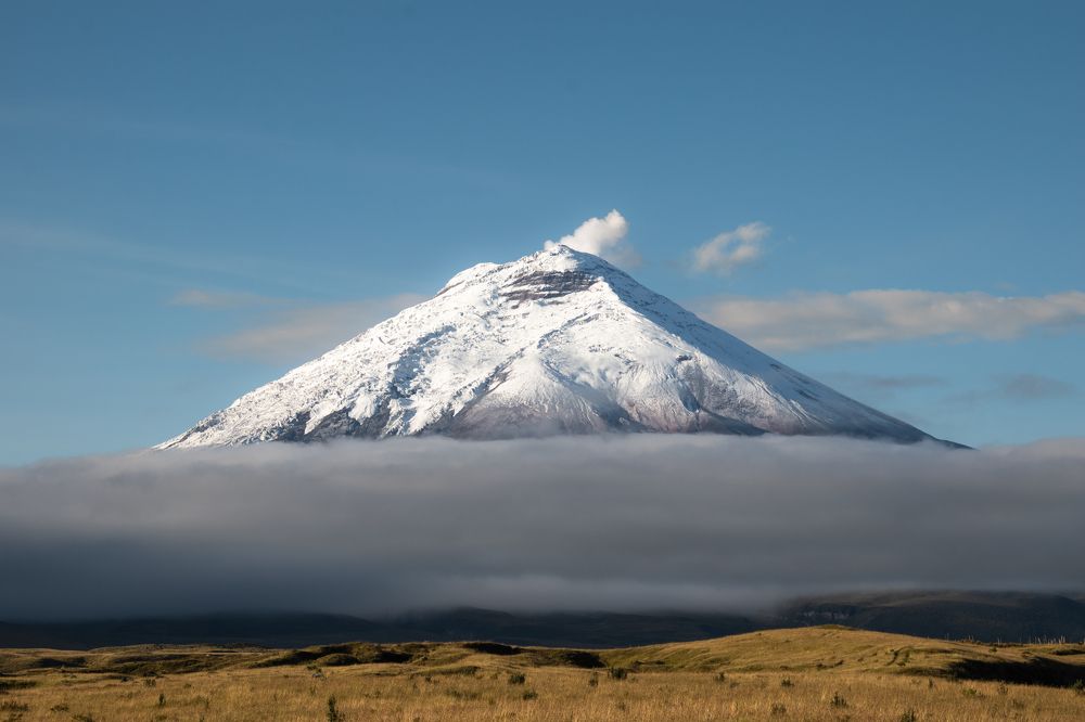 Photograph by Susie Castellano