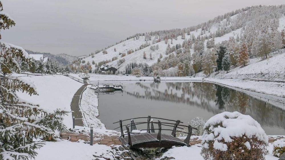 Photograph by Елена Данченко