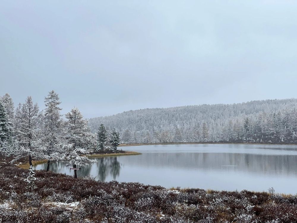 Photograph by Елена Данченко