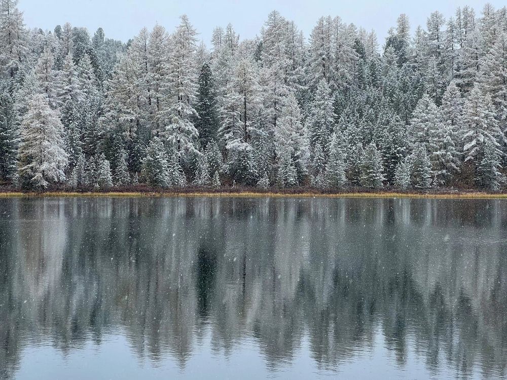 Photograph by Елена Данченко