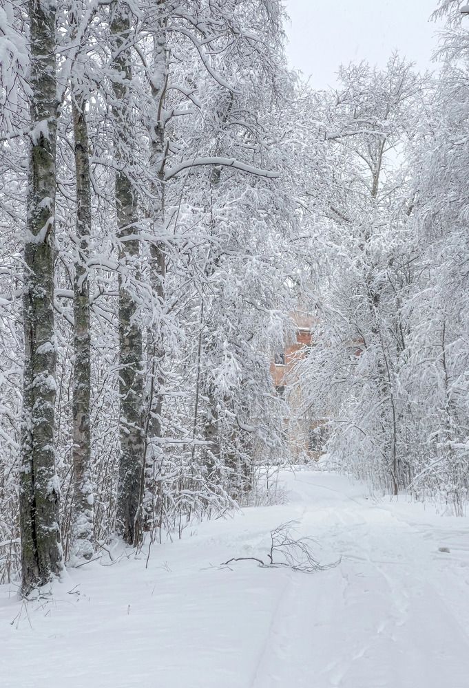 Photograph by Елена Данченко