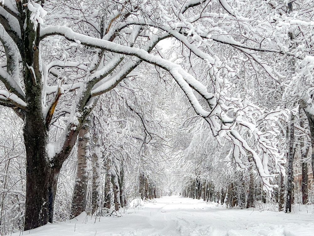 Photograph by Елена Данченко