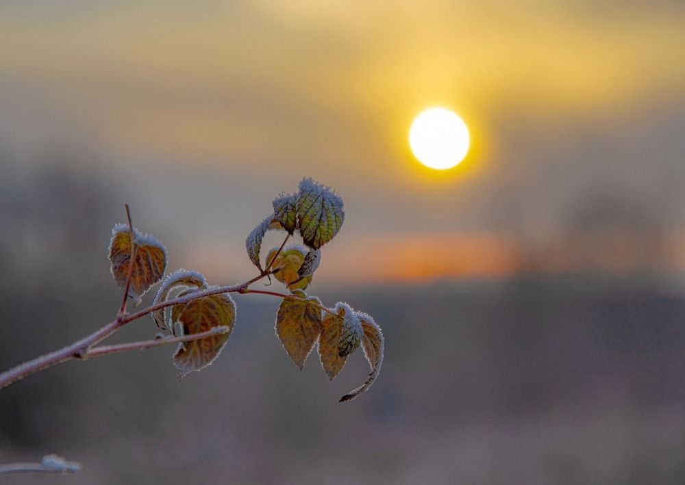 Photograph by Елена Данченко