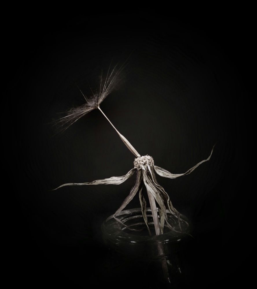 Photograph by Марина Регенспергер