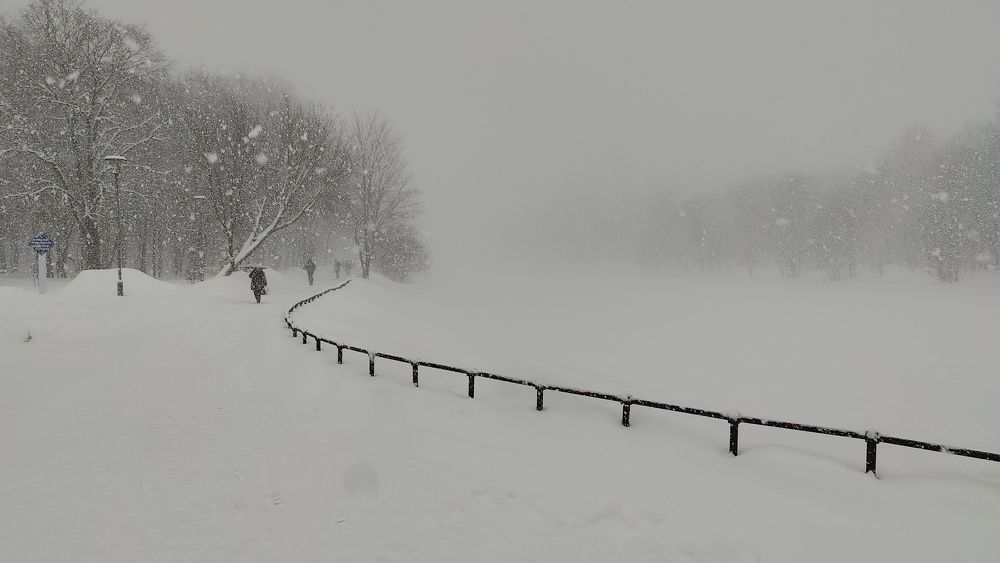 Photo #11719408