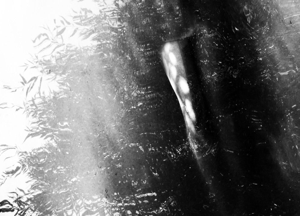 Photograph by Анна Ландграфская